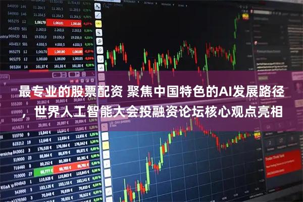 最专业的股票配资 聚焦中国特色的AI发展路径，世界人工智能大会投融资论坛核心观点亮相