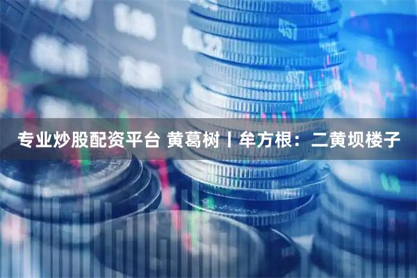 专业炒股配资平台 黄葛树丨牟方根：二黄坝楼子
