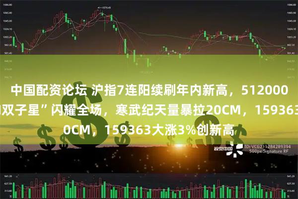 中国配资论坛 沪指7连阳续刷年内新高，512000高频溢价！“AI双子星”闪耀全场，寒武纪天量暴拉20CM，159363大涨3%创新高